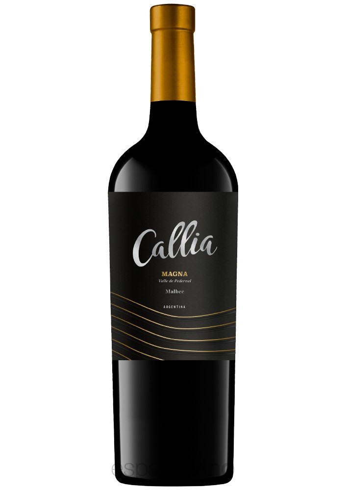 callia magna